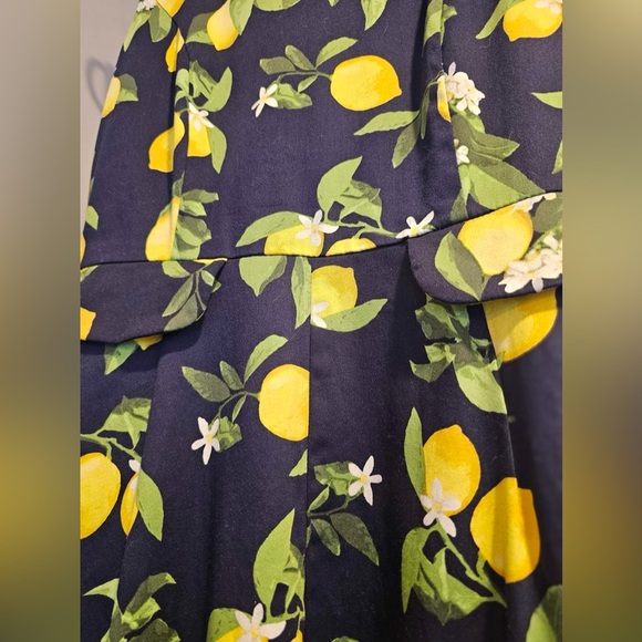 Chetta B lemon Dress floral fit and flare A Line sleeveless dress women’s size 4 - Picture 2 of 7
